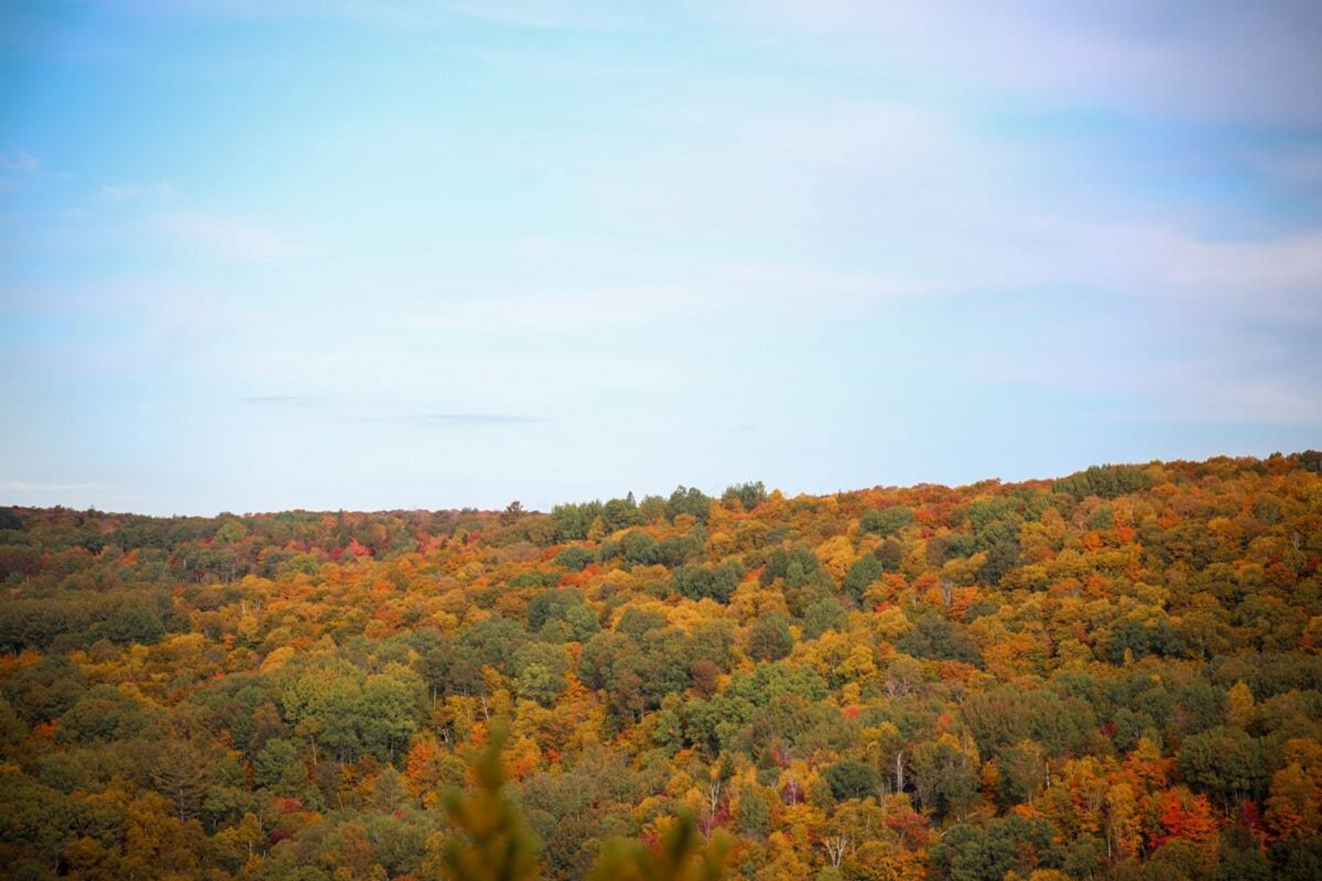 Paysage de collines boisées aux couleurs automnales, vu depuis un hébergement de Chalets Lanaudière.