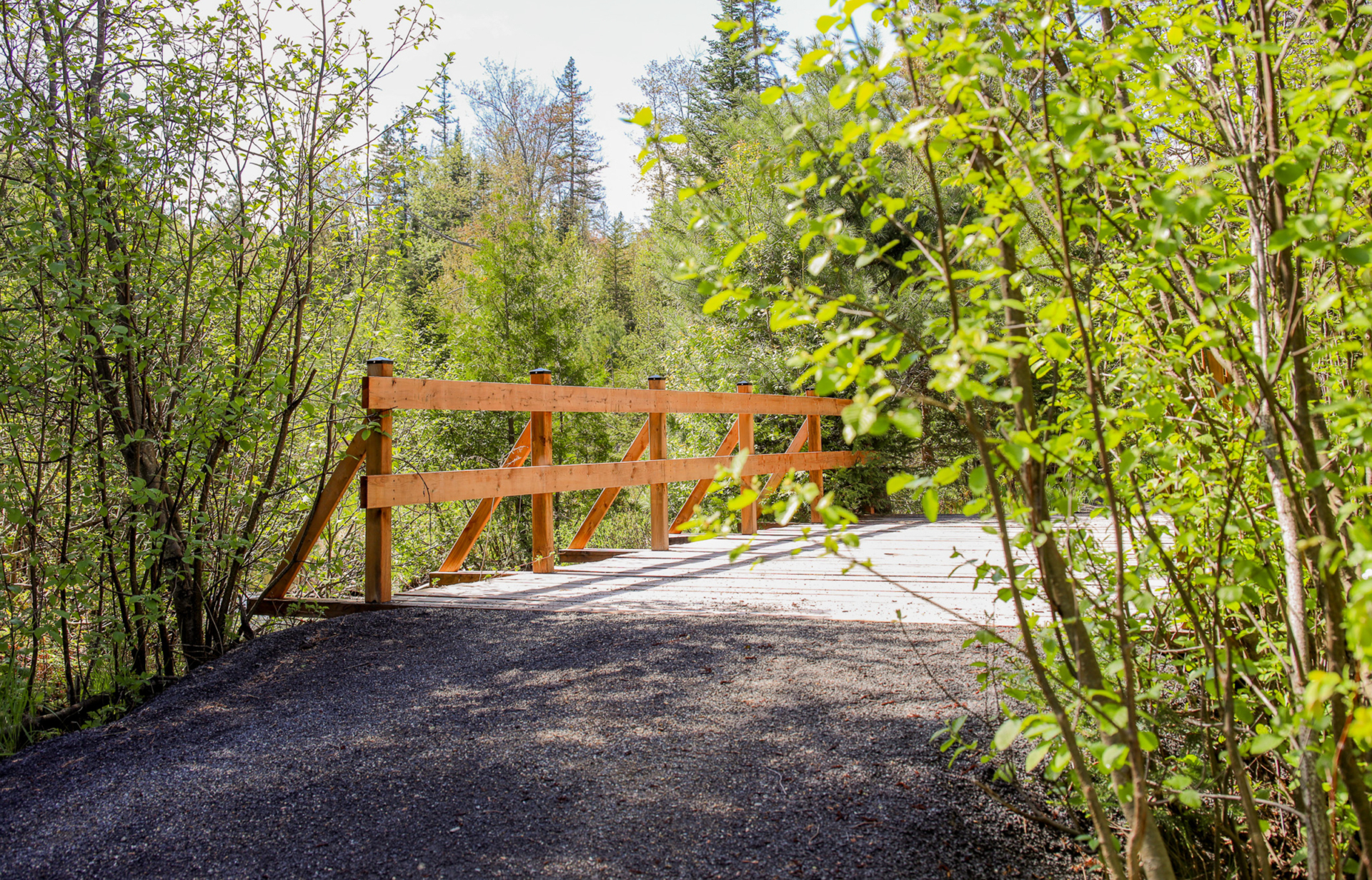 Passerelle en bois au cœur d’un sentier forestier près des chalets de Chalets Lanaudière
