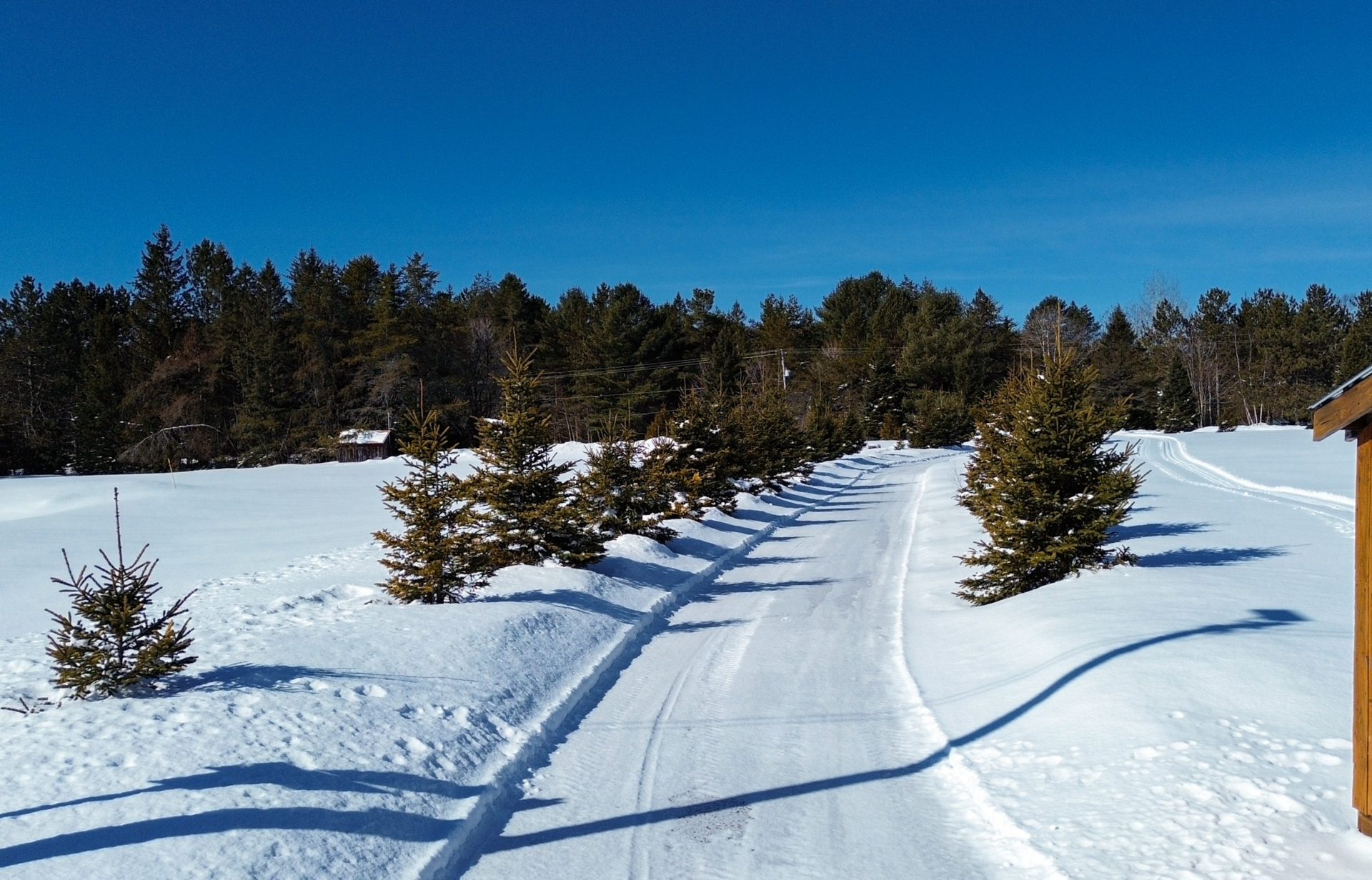 Sentier enneigé bordé de conifères devant un chalet de Chalets Lanaudière, sous un ciel bleu dégagé.