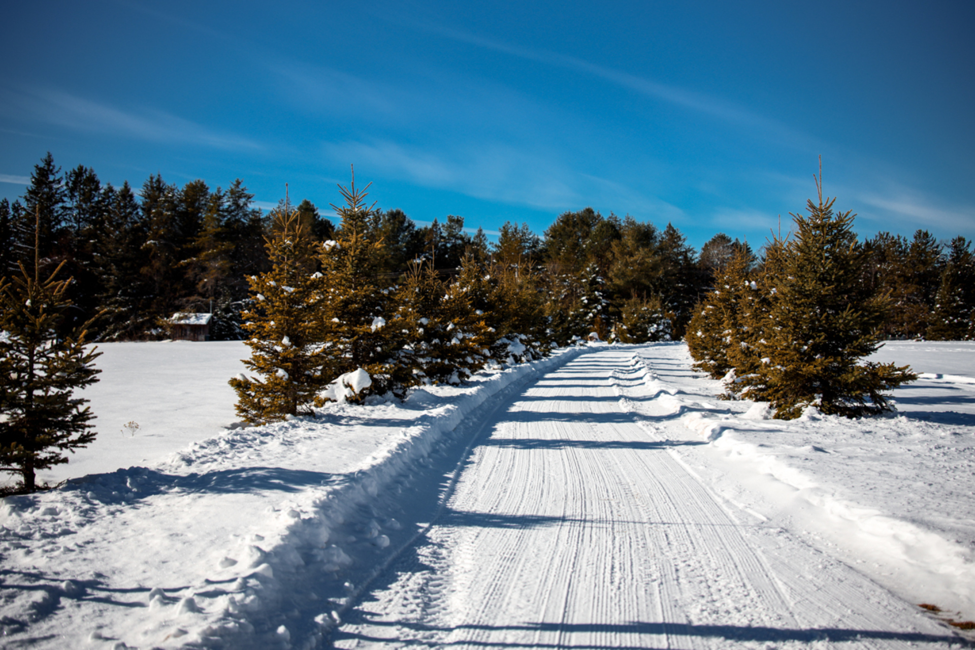 Sentier enneigé bordé de conifères dans un décor hivernal près des chalets de Lanaudière.