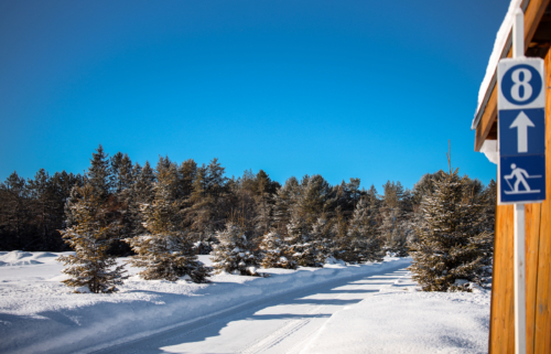 Sentier enneigé bordé de sapins au camping Chalets Lanaudière, avec panneau indiquant le site 8 et une piste de ski.