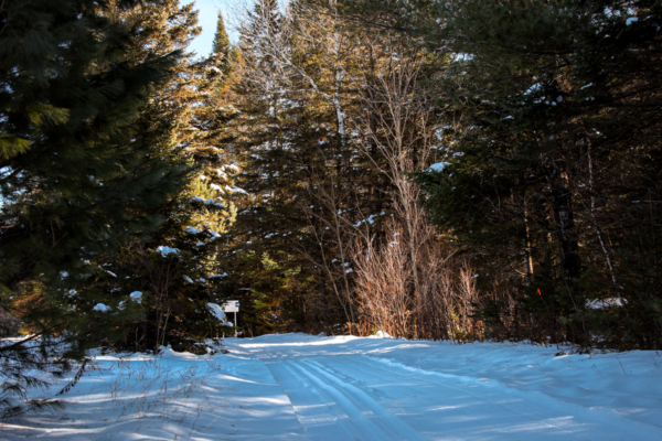 Sentier enneigé bordé de conifères dans la forêt, près des chalets et terrains de camping de Chalets Lanaudière