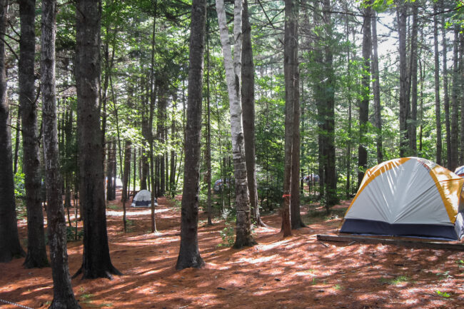 Tente installée dans un camping boisé de Chalets Lanaudière, entourée de grands arbres et baignée de soleil.