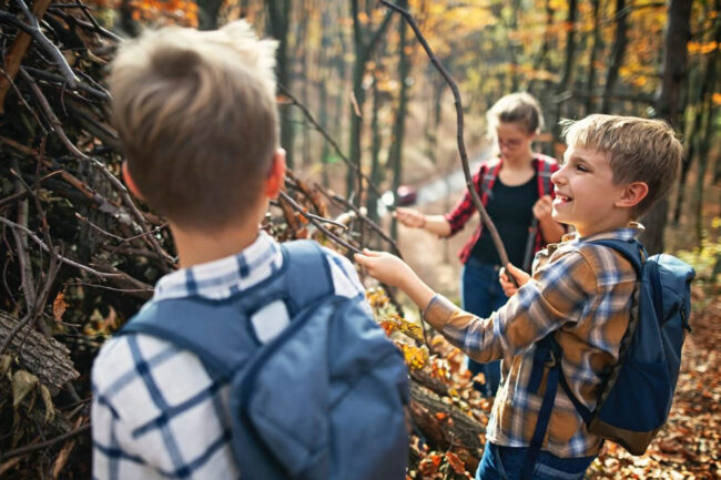 Enfants en randonnée automnale dans la forêt lors d’un séjour en nature à Chalets Lanaudière.