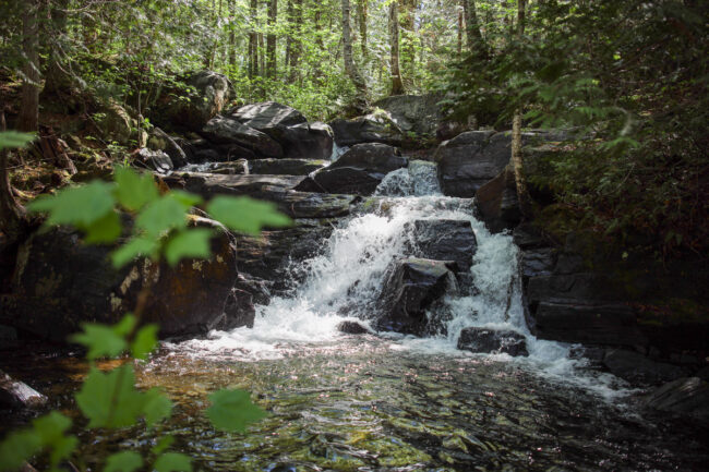 Chute en cascade au cœur d’une forêt, un lieu naturel paisible à découvrir près des chalets de Lanaudière.
