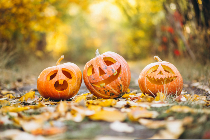 Trois citrouilles d’Halloween sculptées posées sur un tapis de feuilles aux couleurs automnales dans la forêt.