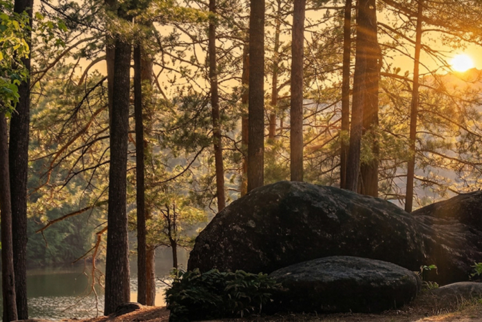 Coucher de soleil sur une forêt de conifères et de grands rochers près d’un lac, dans un cadre naturel de Chalets Lanaudière.