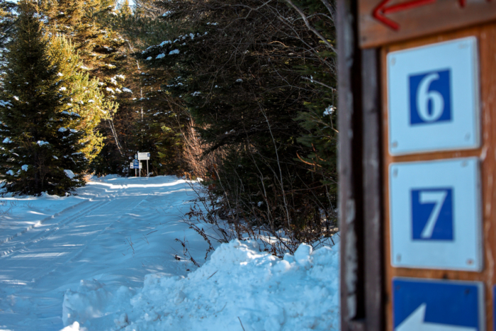 Sentier enneigé bordé d’arbres au camping, avec panneau indiquant les emplacements 6 et 7.