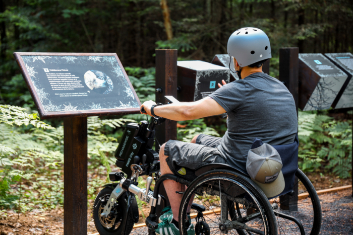 Personne en fauteuil roulant motorisé consultant un panneau d’interprétation dans un sentier boisé près des chalets Lanaudière.
