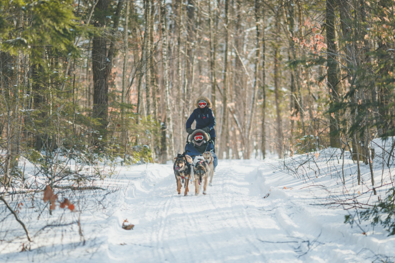Promenade en traîneau à chiens sur un sentier enneigé en forêt près des chalets Lanaudière.