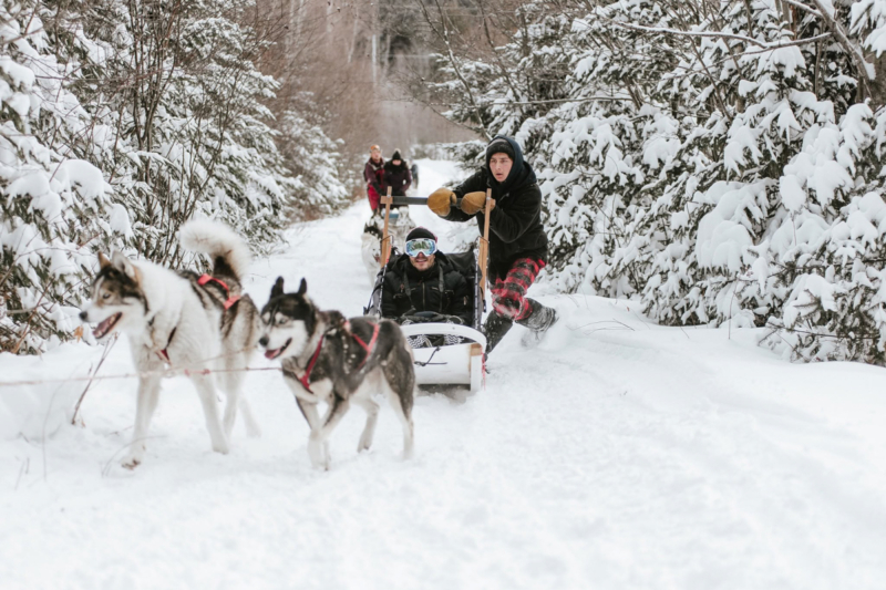 Randonnée en traîneau à chiens dans un sentier enneigé, avec des visiteurs profitant d’une activité hivernale aux Chalets Lanaudière.