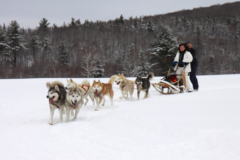 Promenade en traîneau à chiens dans la neige, avec deux personnes et une équipe de huskys près des chalets Lanaudière.