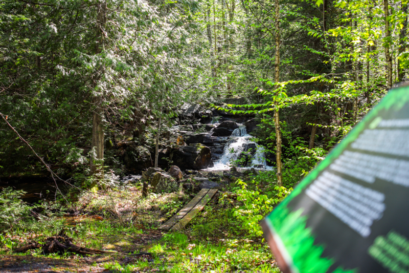 Sentier forestier menant à une petite chute d’eau, avec panneau d’information au premier plan près des chalets Lanaudière