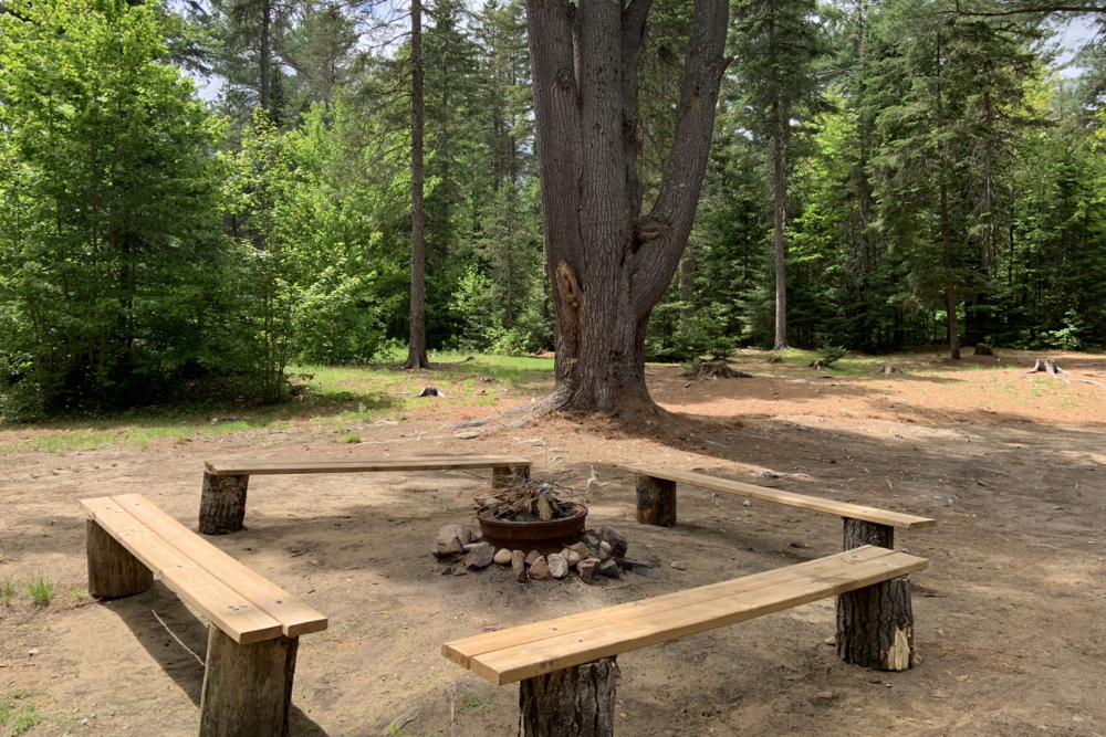 Site de camping avec aire de feu de camp entourée de bancs en bois, au cœur de la forêt.