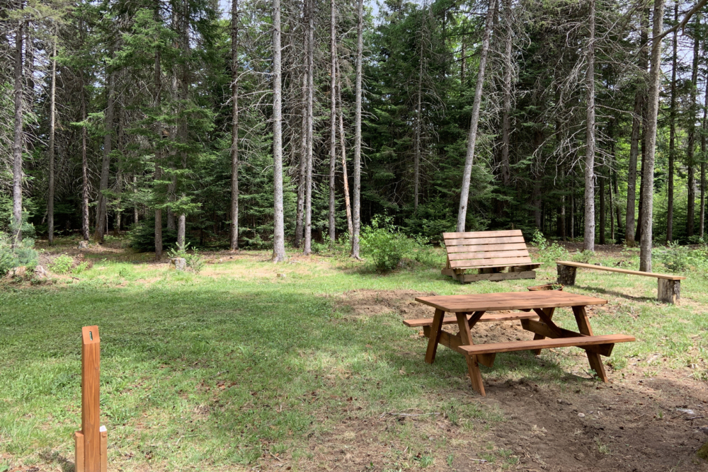 Site de camping avec aire de pique-nique en forêt, bancs, foyer et espace gazonné.