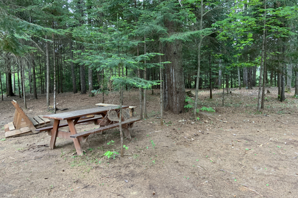 Table de pique-nique en bois dans un emplacement de camping boisé, entouré de conifères.