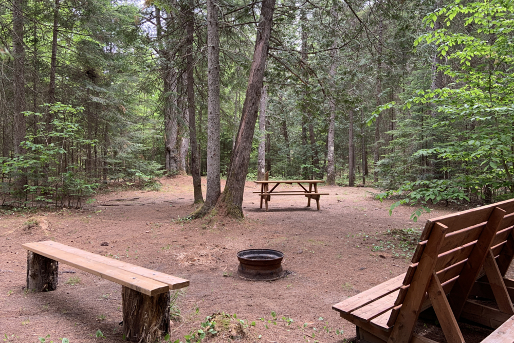 Aire de camping en forêt avec tables de pique-nique, bancs en bois et foyer pour profiter de la nature.