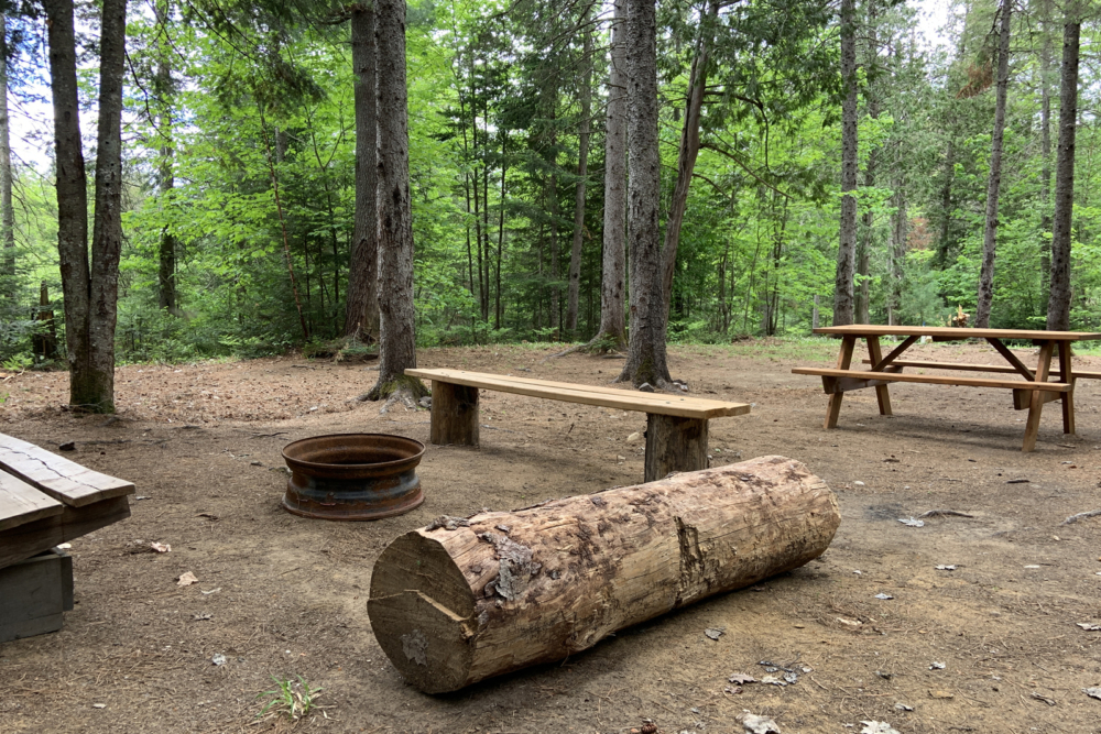 Aire de camping en forêt, avec bancs rustiques, table de pique-nique et foyer extérieur.