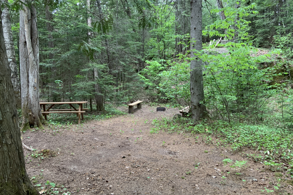 Aire de camping en forêt avec table à pique-nique et bancs entourés d’arbres.