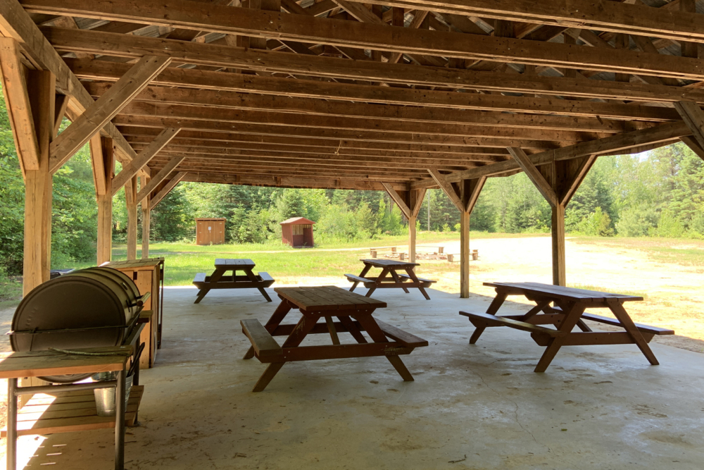 Marquise couverte commune avec tables de pique-nique, barbecue et forêt environnante.