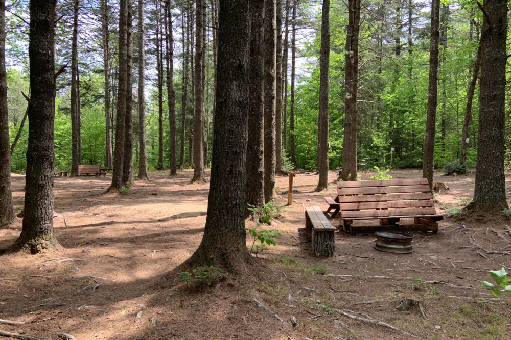 Site de camping en forêt avec tables de pique-nique, bancs et foyer extérieur.