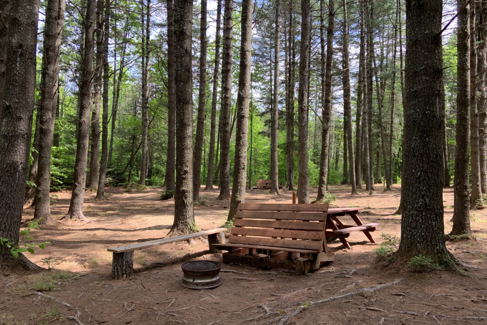 Site de camping en forêt avec table, bancs rustiques et aire de feu.