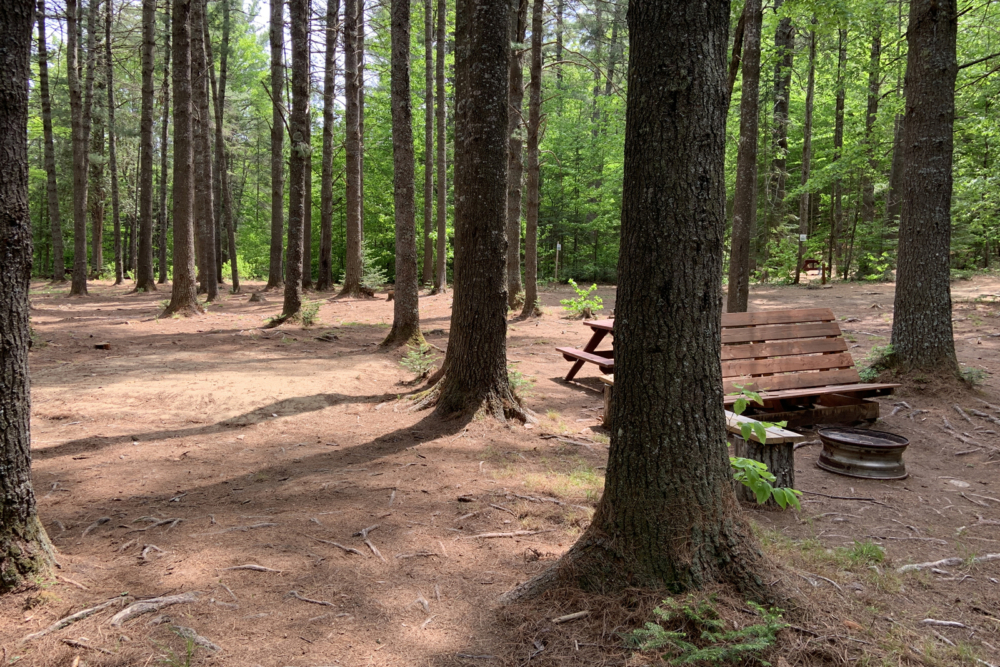 Site de camping en forêt avec table de pique-nique et bancs et aire de feu.