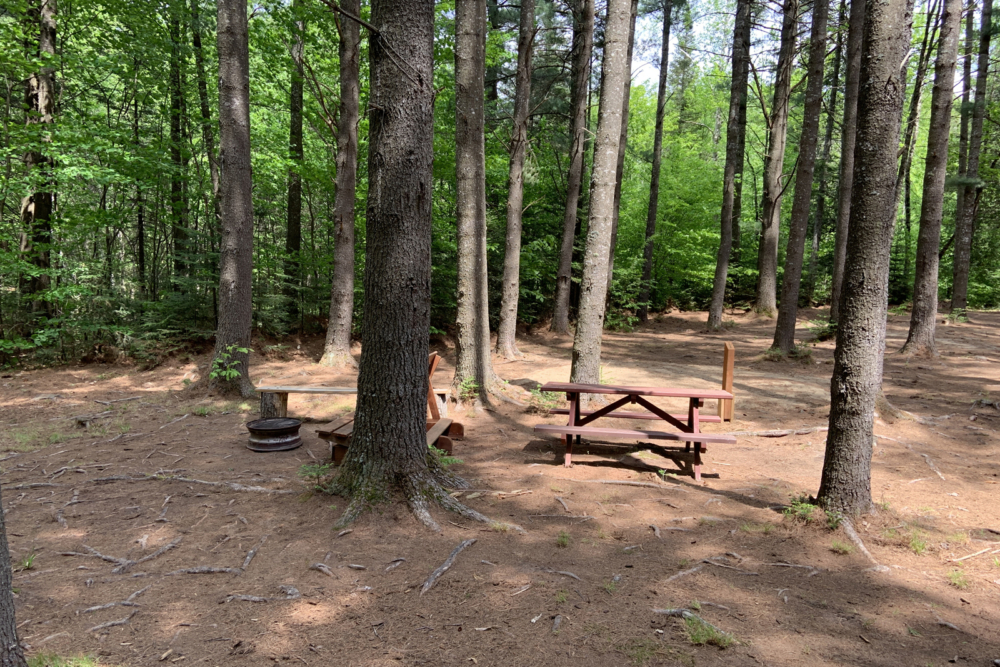 Aire de camping ombragée avec tables en bois, bancs et aire de feu au cœur de la forêt.