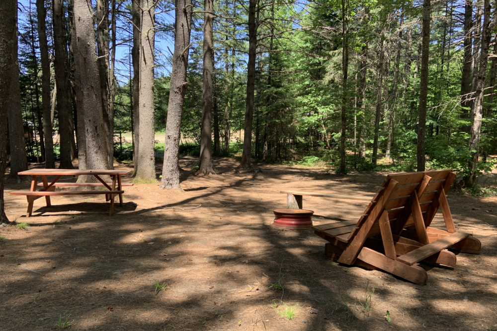 Site de camping en forêt avec tables en bois et bancs près d’un aire de feu.