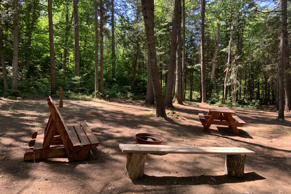 Site de camping en forêt avec tables, banc et foyer.