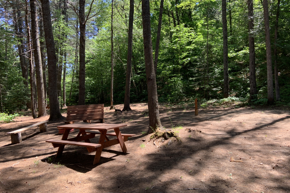 Site de camping ombragée en forêt, avec table, bancs et aire de feu.