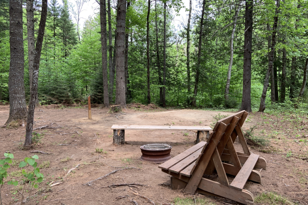 Site de camping en forêt avec table de pique-nique et foyer extérieur.