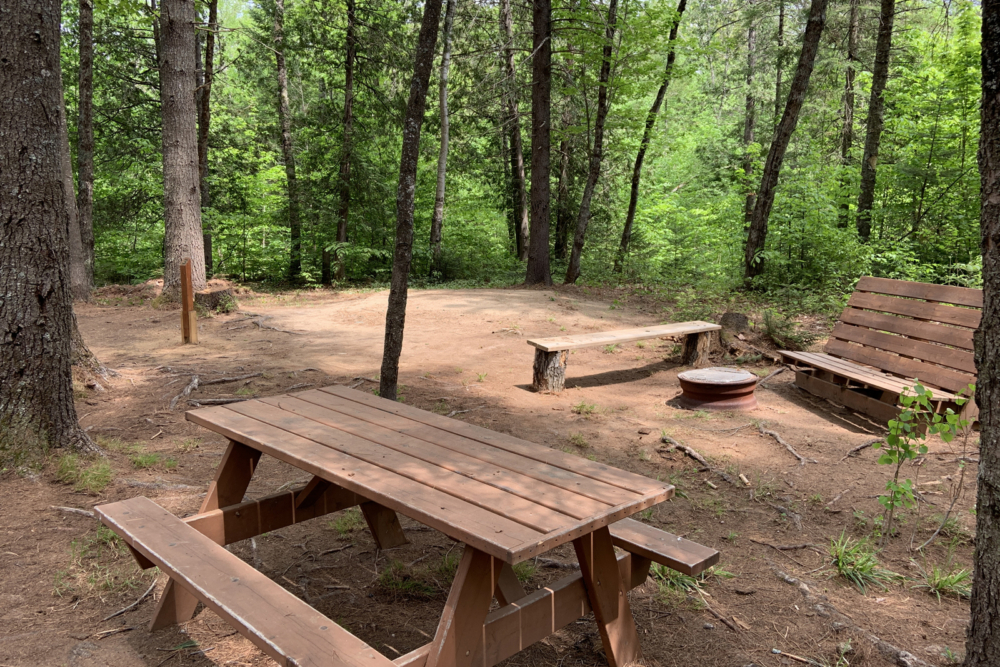 Site de camping en forêt avec table, bancs, foyer et banc de détente.