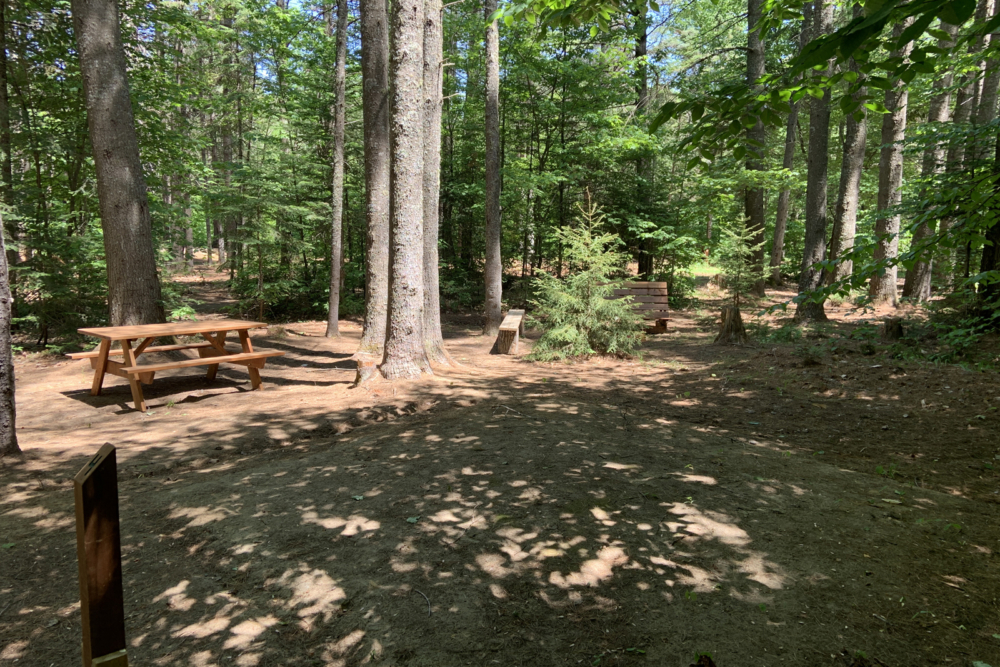 Shaded forest campsite at Chalets Lanaudière with picnic tables among tall trees and a peaceful natural setting.