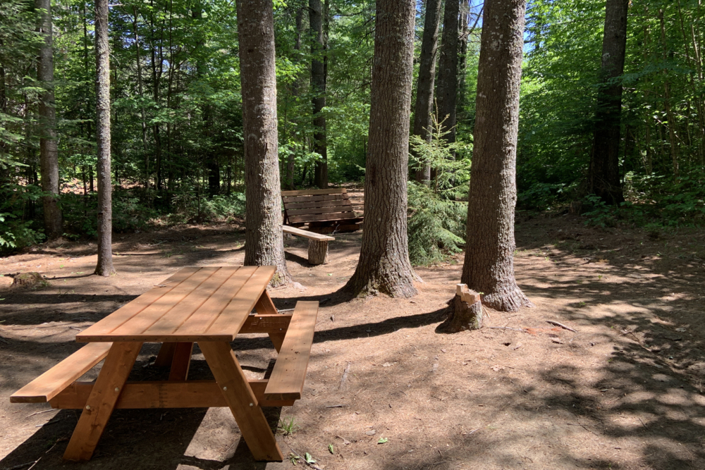 Picnic table in a shaded forest campsite at Chalets Lanaudière and tall trees nearby.