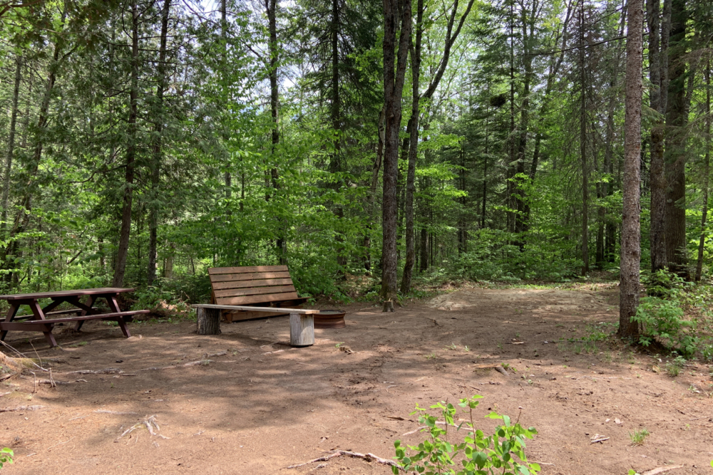 Site de camping forêt avec table de pique-nique et banc.