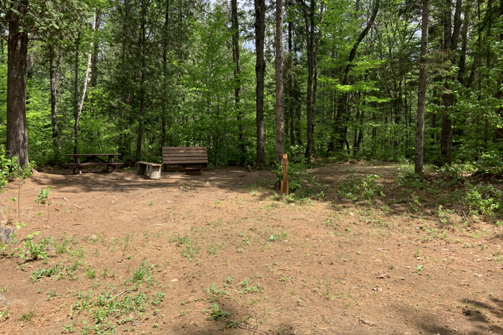 Terrain de camping boisé avec tables de pique-nique et espace dégagé au cœur de la forêt.