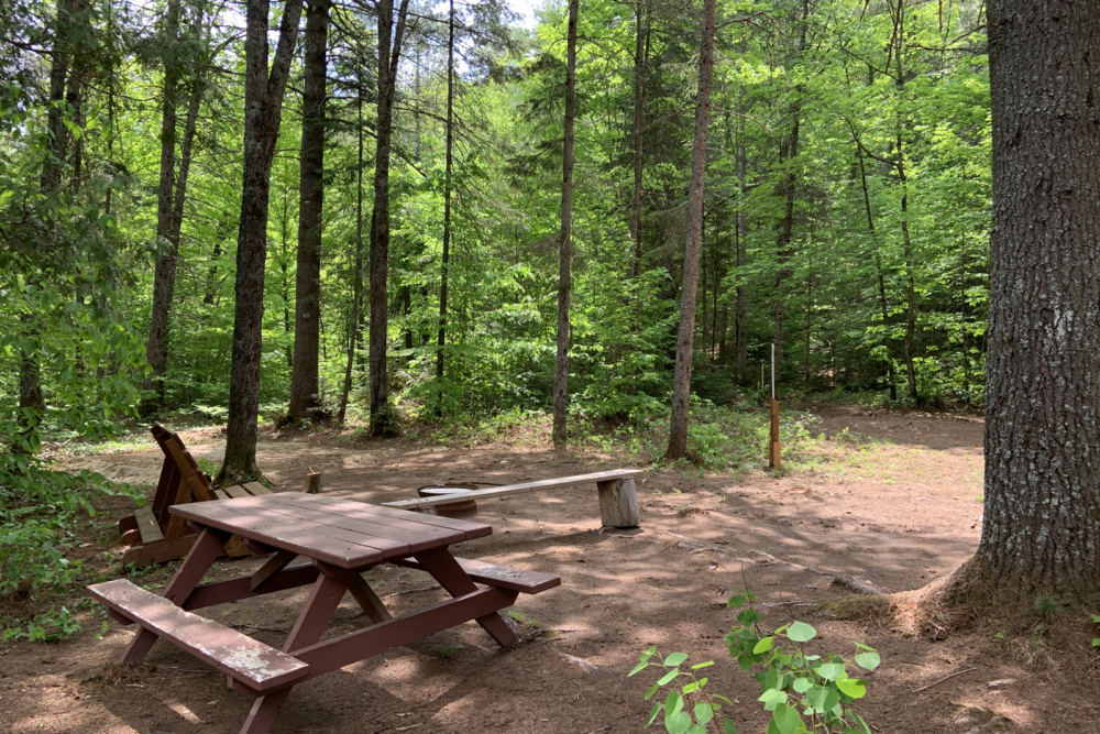 Site de camping boisée avec table à pique-nique et bancs.