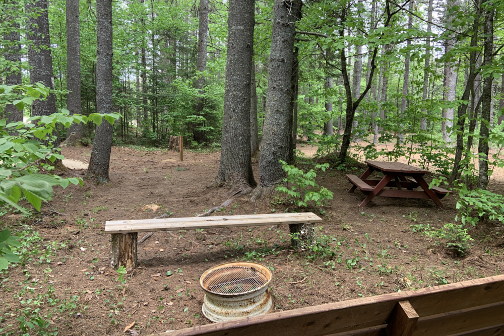 Site de camping en forêt avec banc rustique, table de pique-nique et foyer.