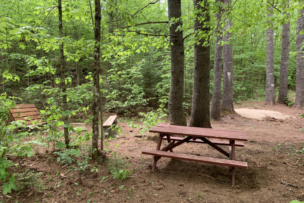 Aire de pique-nique en forêt avec table à pique-nique et bancs, près du site de camping.