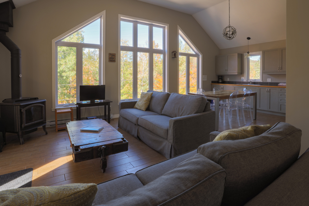 Salon chaleureux d’un chalet avec foyer, grandes fenêtres, canapés et cuisine ouverte donnant sur la forêt.