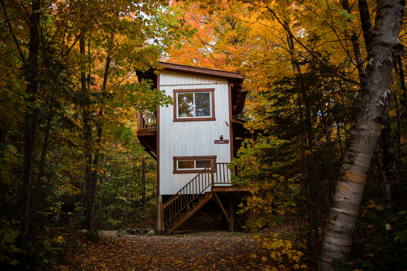 Petit chalet perché dans les arbres, entouré d’une forêt aux couleurs automnales chez Chalets Lanaudière.