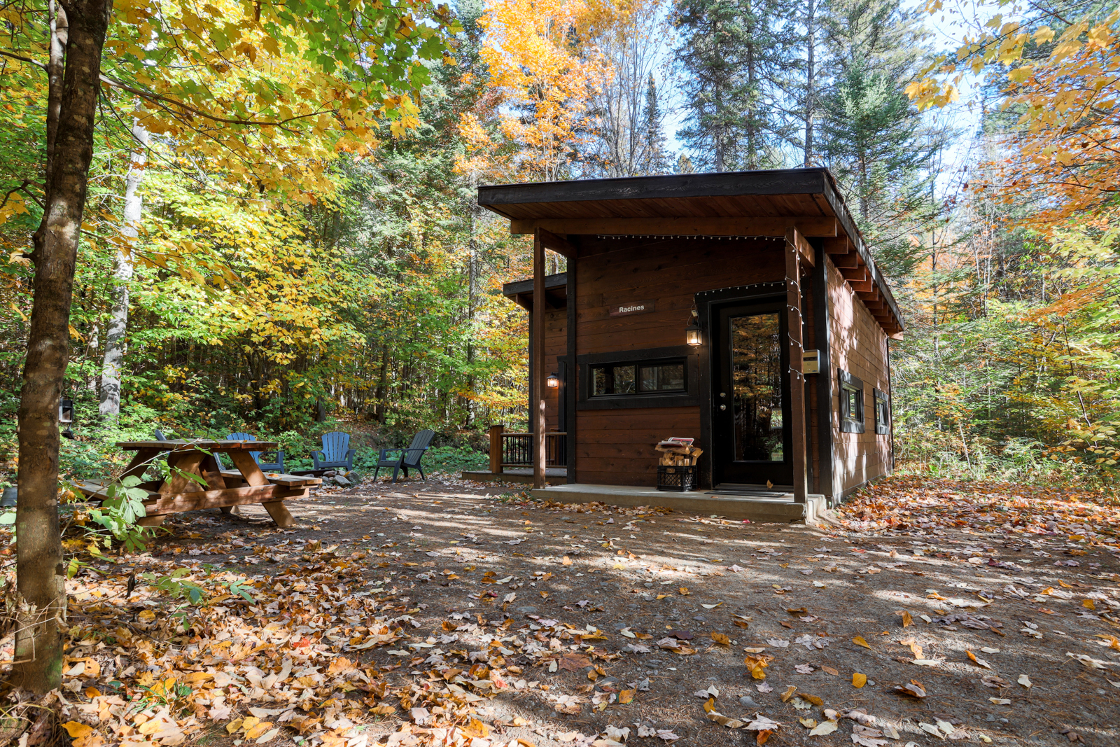 Petite cabane en bois entouré d’une forêt aux couleurs automnales, avec terrasse et table à pique-nique.