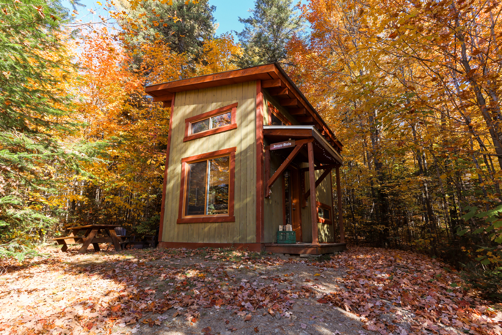 Cabane en bois entouré d’une forêt colorée aux teintes automnales, avec table de pique-nique à proximité