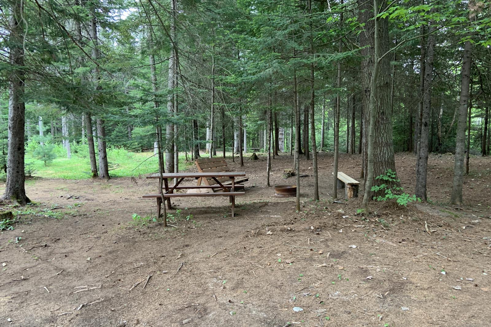 Aire de pique-nique boisée avec table, bancs et foyer, située sur le terrain de camping.
