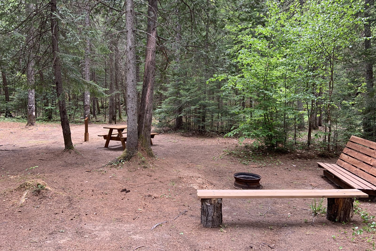 Site de camping en forêt avec table à pique-nique, bancs et foyer.