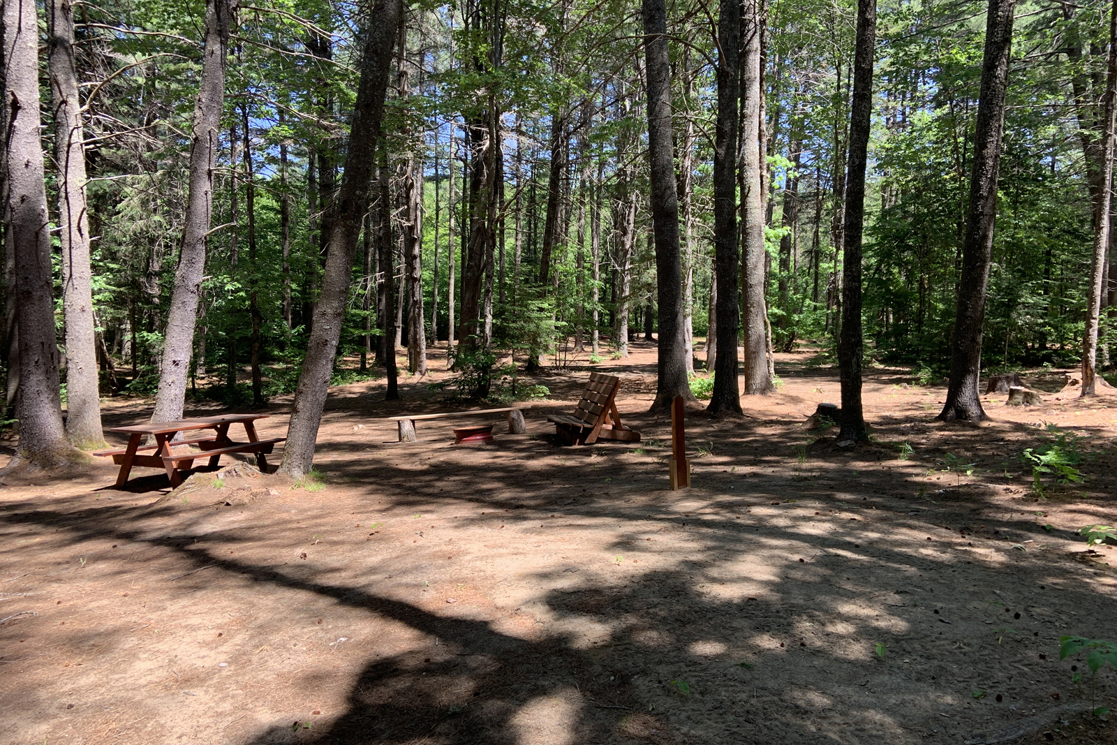 Aire de camping boisée avec tables à pique-nique et bancs dans un environnement paisible.