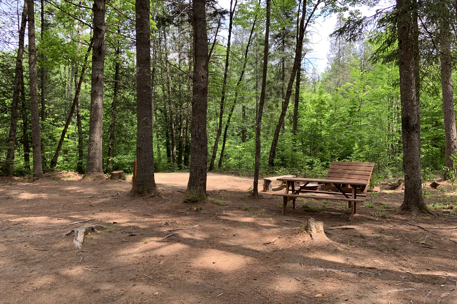 Site de camping en forêt avec table à pique-nique et aire de feu.