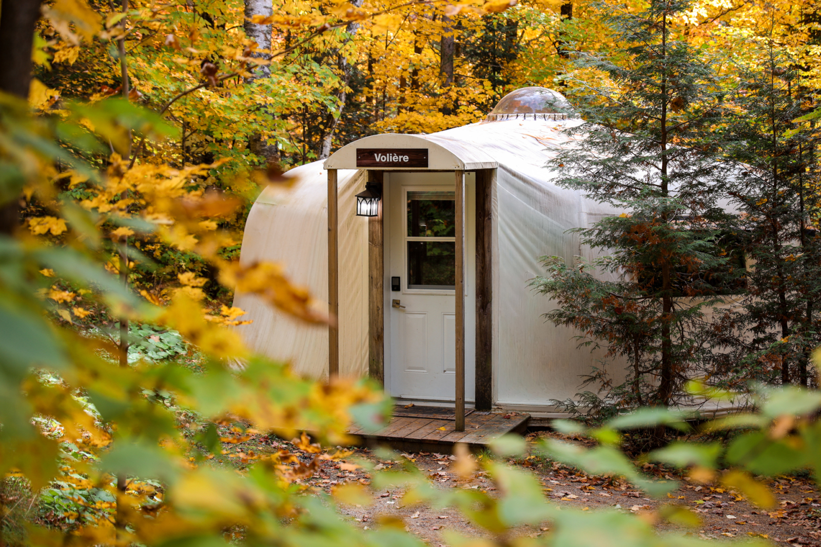 Yourte « Volière » de Chalets Lanaudière nichée dans une forêt aux couleurs d’automne.