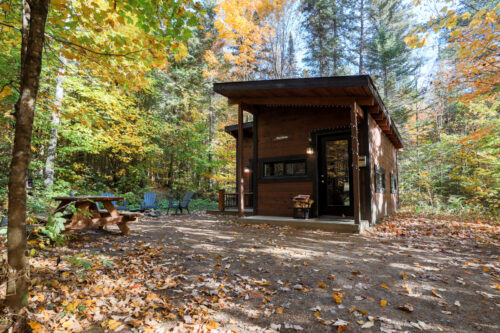 Petite cabane en bois entouré d’une forêt aux couleurs automnales, avec terrasse et table à pique-nique.